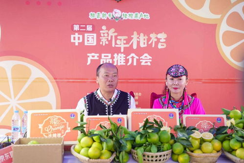 现场签约2.35万吨 云南新平柑桔开市订单不断