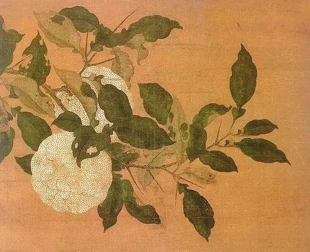 宋代 佚名 《香实垂金图》 (台北故官博物院藏)宋代柑橘品种丰富,宋人