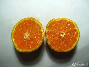 城固柑橘甘甜味美,获得国家绿色食品注册认证