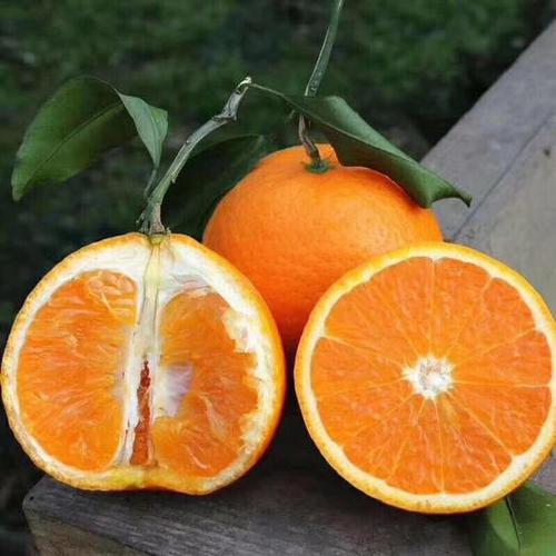 【全国包邮】柑橘皇后青见惊艳上市,尝鲜吧! 商品图2