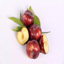 百森水果产品 百森水果产品图片 百森水果怎么样 最新百森水果产品展示